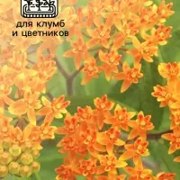 Семена Ваточник "Золотинка", ц/п,  0,03 г