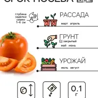 Семена Томат "Хурма", 0,1 г