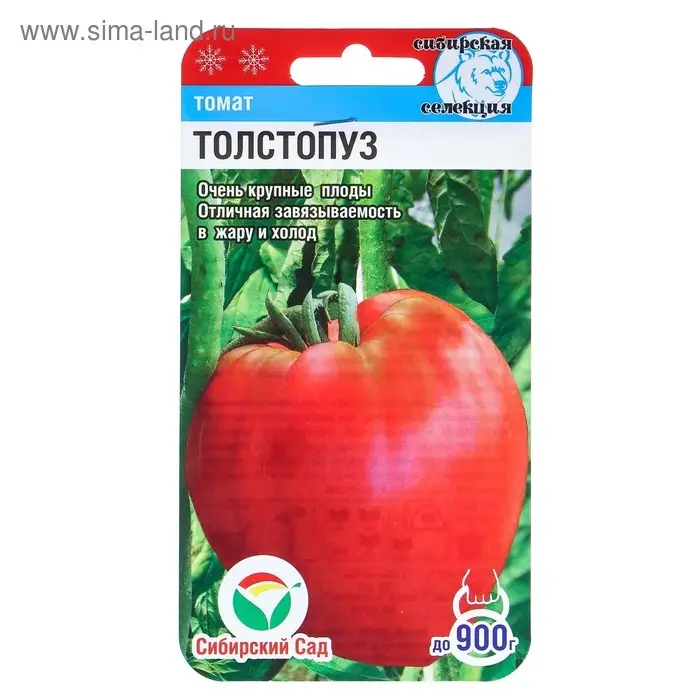 Семена Томат "Толстопуз", 20 шт