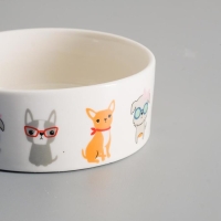 Миска керамическая "Важный пес" 250мл, 11,5 х 5 см, белая Миска керамическая "Важный пес" 250мл, 11,5 х 5 см, белая