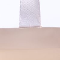 Пакет подарочный &laquo;Белый&raquo;, 28&times;20&times;10 см