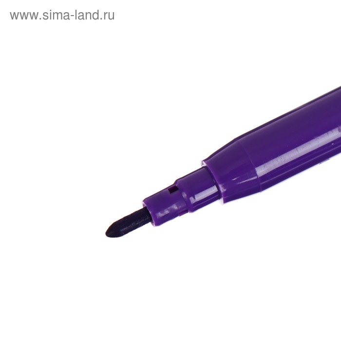 Фломастеры 12 цветов, Фломастеры 12 цветов, "Гарри Поттер", картонная коробка, с европодвесом