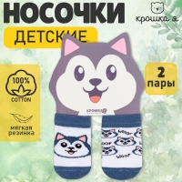 Набор носков Крошка Я &laquo;Хаски&raquo;, 2 пары, 12-14 см