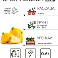 Семена Патиссон "Копейка", 0,6 г