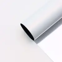 Пленка для цветов, &laquo;Серебряная сторона&raquo;, белый, 57&times;57&plusmn;1 см