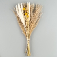 Сухоцветы &laquo;Сказка&raquo;, набор из 4 видов, 48 &times; 16 &times; 6 см