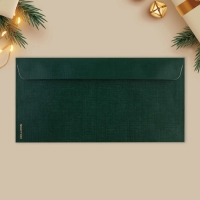 Набор подарочных конвертов &laquo;С Новым годом&raquo;, 10 штук, тиснение, 22 х 11 см, Новый год