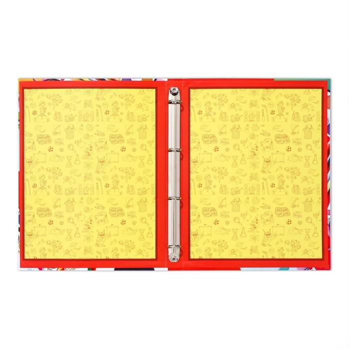 Папка школьная на кольцах &laquo;Портфолио школьника&raquo;, 10 листов-разделителей, 24,5 х 32 см.