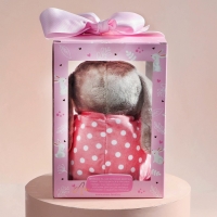 Мягкая игрушка &laquo;Зайка Ла-Пу-Ля в камбинизоне с короной&raquo;, цвет серый, 20см