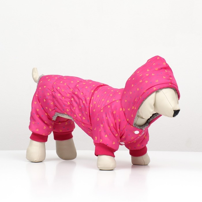 Комбинезон Комбинезон "нежный путь" на меховом подкладе, размер 2XL (ДС 45, ОШ 45, ОГ 55 см), розовый