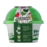 Набор для выращивания &laquo;Моя микрозелень&raquo;, базилик