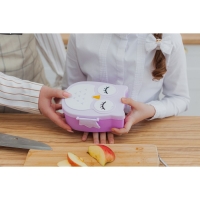 Ланч - бокс пластиковый с ложкой&laquo;Совушка&raquo;, 2 отделения: 300 мл, 450 мл, цвет МИКС