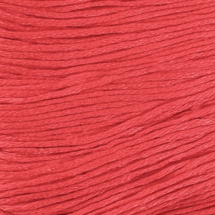 Набор ниток мулине №3801, 8 &plusmn; 1 м, 6 шт, цвет глубокий красный