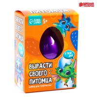 Вырасти своего питомца «Дракон», МИКС Вырасти своего питомца «Дракон», МИКС