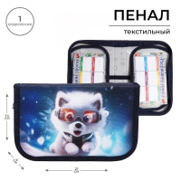 Пенал 1 секция, 130 х 210 х 40 мм, 2 откидные планки, тканевый, Calligrata TOP, Content "Супер песик" Пенал 1 секция, 130 х 210 х 40 мм, 2 откидные планки, тканевый, Calligrata TOP, Content "Супер песик"