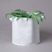 Контейнер с ручками, 31 &times; 29 см, плотность 130 г/м&sup2;, Greengo