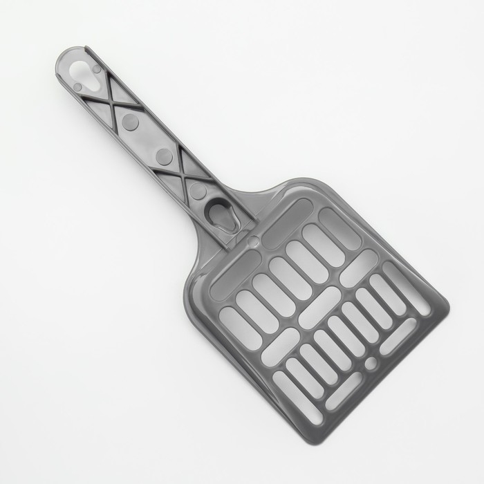 Туалет с прозрачными бортами с совком и фильтром, 50 х 34 х 18 см, чёрный Туалет с прозрачными бортами с совком и фильтром, 50 х 34 х 18 см, чёрный