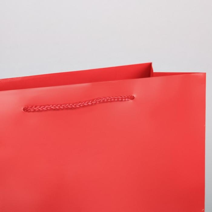 Пакет подарочный ламинированный, упаковка, &laquo;Красный&raquo;, L 28 х 38 х 9 см