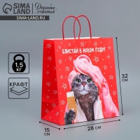 Пакет подарочный новогодний крафтовый &laquo;Блистай&raquo;, 28 х 32 х 15 см, Новый год