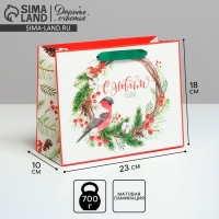 Пакет подарочный новогодний ламинированный &laquo;С Новым годом&raquo;, MS 23 х 18 х 10 см, Новый год