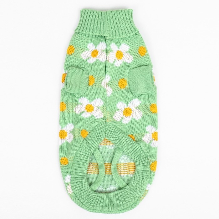 Свитер Свитер "Ромашки", размер XS (ДС 20, ОШ 21, ОГ 30 см), зелёный