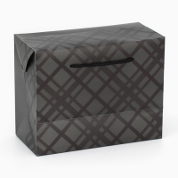 Пакет—коробка, подарочная упаковка, «Подарок», 23 х 18 х 11 см Пакет—коробка, подарочная упаковка, «Подарок», 23 х 18 х 11 см