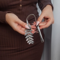 Подхват для штор &laquo;Ветка&raquo;, 10 &times; 4 см, 32 см, цвет серебряный