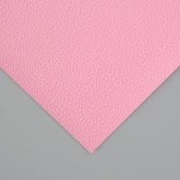 Лист для творчества иск.кожа "Рисунок Личи" розовый лист 33х20 см толщина 0,7 мм Лист для творчества иск.кожа "Рисунок Личи" розовый лист 33х20 см толщина 0,7 мм