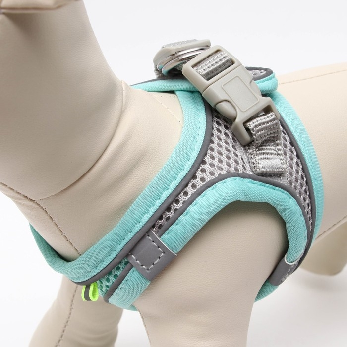 Комплект с мягкой шлейкой, размер XXS, поводок 150 х 1,5 см, ОГ 28-30 см, ОШ 24-26 см, бирюз Комплект с мягкой шлейкой, размер XXS, поводок 150 х 1,5 см, ОГ 28-30 см, ОШ 24-26 см, бирюз