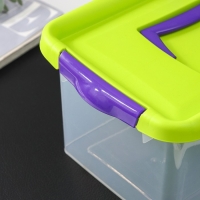 Контейнер для хранения, 4 л, 29&times;19&times;13 см, с крышкой, салатовый