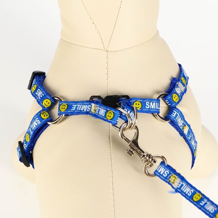 Комплект амуници "Смайлик", ширина 1 см, поводок 120 см, шлейка 26-38 см, синий