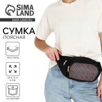 Сумка поясная с карманами «База», 29х15 см Сумка поясная с карманами «База», 29х15 см