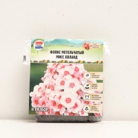 Флокс метельчтый Miss holland корневище в пакете с торфогрунтом, р-р II, 2 шт.