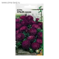 Семена цветов  Астра "Эльза", синяя, 35 шт