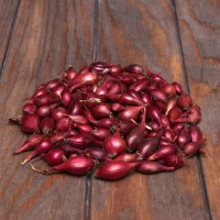 Лук севок Кармен , р-р 18-21, 2 кг, Весна 2025