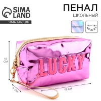 Пенал школьный &laquo;1 сентября: Lucky&raquo;, иск. кожа, 18 х 10 х 7 см, фиолетовый цвет