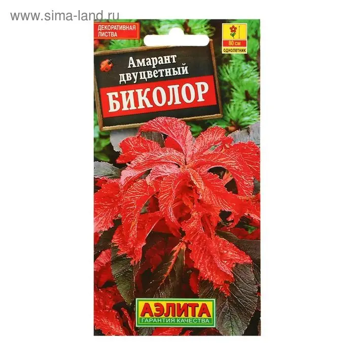 Семена цветов Амарант "Биколор", О, 0,05 г