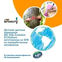 Карандаши 12 цветов BIC Color Up, для подростков и взрослых, трёхгранные, микс