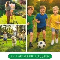 Семена газонной травы Hello grass, Sport Meister Gras, 10 кг