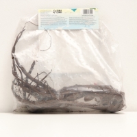 Флокс метельчтый Miss holland корневище в пакете с торфогрунтом, р-р II, 2 шт.