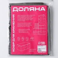 Кофр для хранения вещей Доляна &laquo;Кло&raquo;, 45&times;30&times;20 см, цвет чёрный