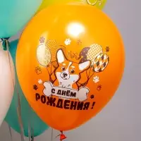 Воздушные шары латексные 12" &laquo;СДР! Веселые животные&raquo;, 25 шт., МИКС
