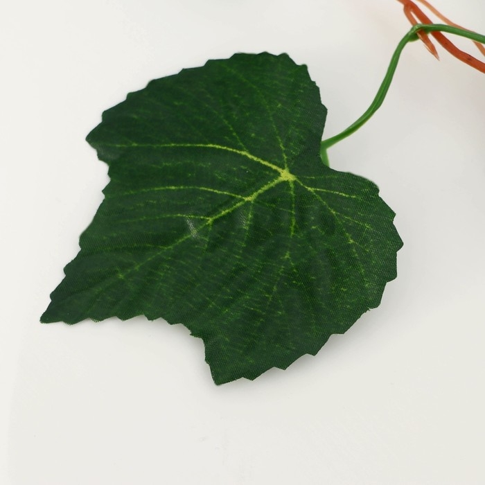 Лиана Лиана "Лист летний" 2,5 м