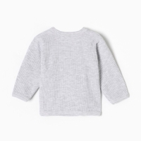 Комплект детский, цвет серый, рост 62 см