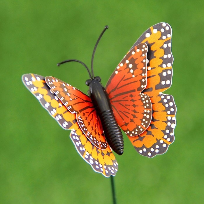 Штекер "Бабочка Дельфиус" 25см, набор 15шт, МИКС