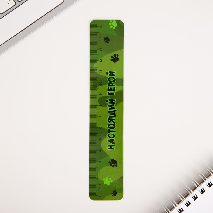 Канцелярский набор &laquo;С 23 февраля! Котик&raquo;, 5 предметов