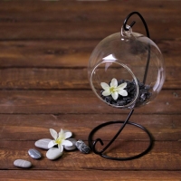 Флорариум &laquo;Сфера&raquo;, на подвесе, d отверстия 6 см, 23&times;13&times;11 см