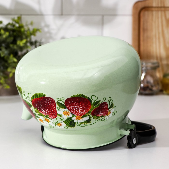 Чайник сферический, 3 л, индукция, деколь МИКС, цвет салатовый