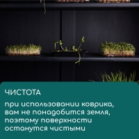 Коврик из кокосового волокна, для выращивания микрозелени, 50 &times; 25 см, Greengo