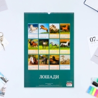 Календарь перекидной на ригеле А3 "Лошади" 2025, 32 х 48 см Календарь перекидной на ригеле А3 "Лошади" 2025, 32 х 48 см